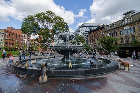 Tour image 5