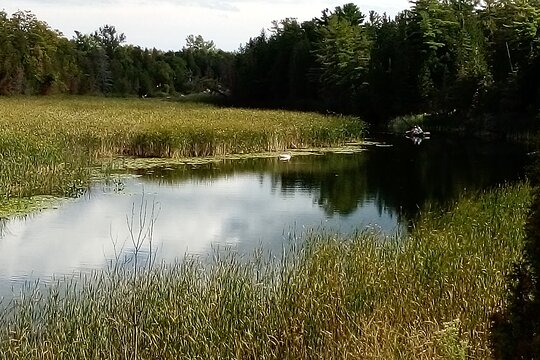 Tour image 14