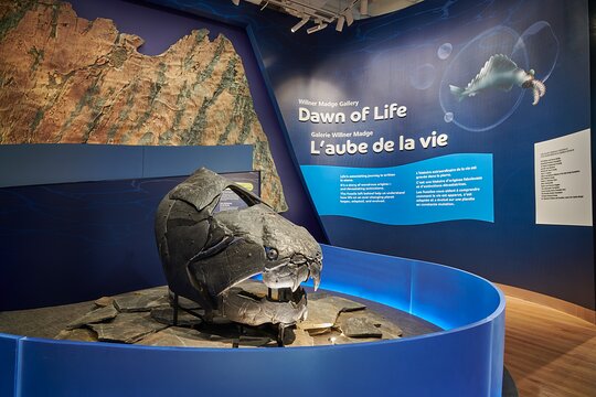 Tour image 2