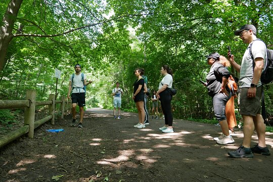 Tour image 5